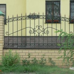 Паркани