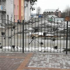Паркани