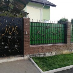Паркани