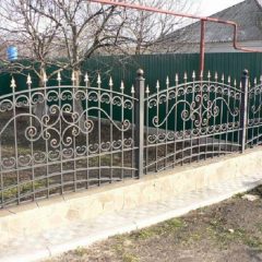Паркани