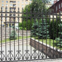 Паркани