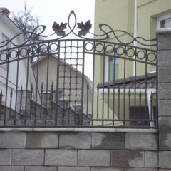 Паркани