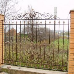 Паркани