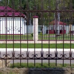 Паркани